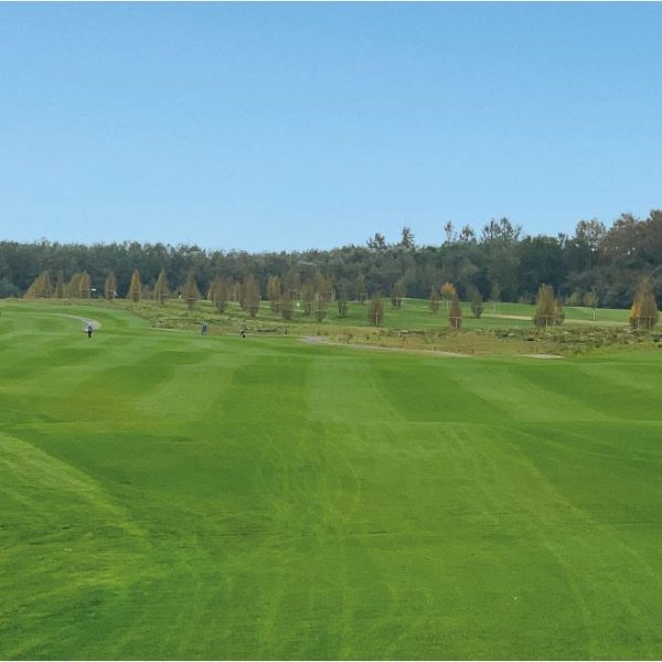 20200811_GP_Karlsruhe_Bahn_17_Long_way