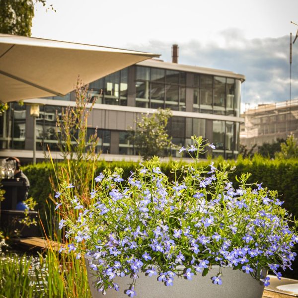 20E53D6B-0960-424C-98C2-6BBAFCBF0A41